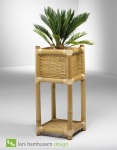 Titelbild des Albums: Bambusblumen&uuml;bert&ouml;pfe/Bambustr&ouml;ge
Bambust&ouml;pfe - 